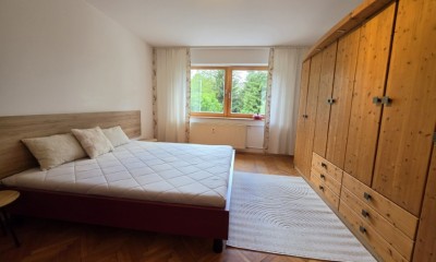 3-sobno stanovanje na Ravnah na Koroškem, ČEČOVJE